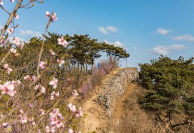 평화누리길(경기둘레길) 2코스 대표 이미지