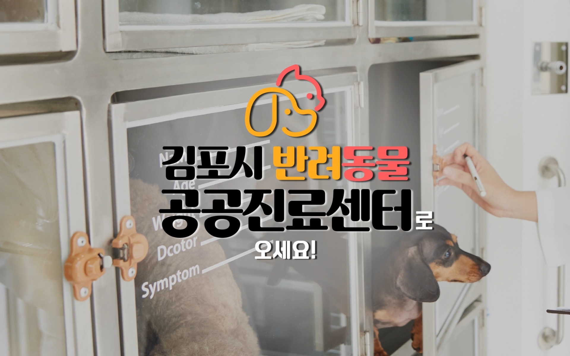 김포시 반려동물 공공진료센터로 오세요!🐕️🐈️ 이미지