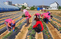 영농과제활동 사진